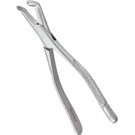 Extracting Forceps Adults 